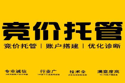 sem运营公司助力品牌崛起